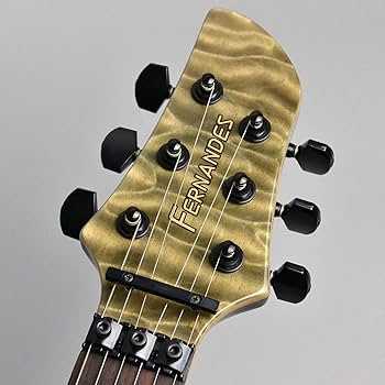 Amazon | ﾌｪﾙﾅﾝﾃﾞｽ APG DLX '16 CG | エレキギター | 楽器・音響機器
